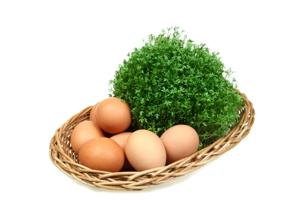 Ägg och krasse — Stockfoto