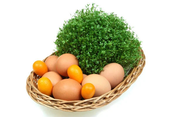 Spring basket — Stock Photo, Image