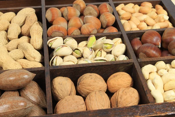 Nuts variety — Stock Photo, Image