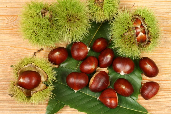 stock image Chestnuts.