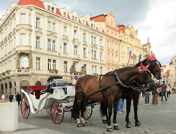 stock image Prague