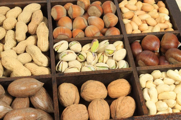Nut varieties — Stock Photo, Image