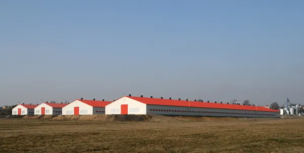 Moderní drůbeží farmy — Stock fotografie