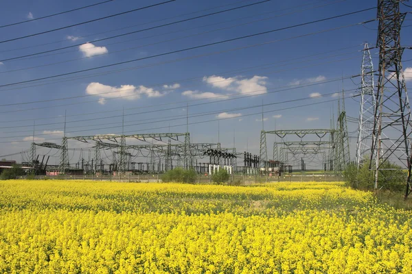 Elektrische pylonen en landbouwgrond — Stockfoto