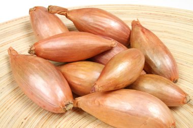 Shallot onions clipart