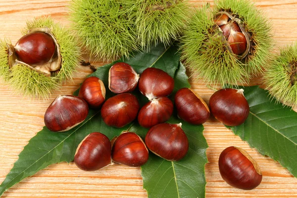 stock image Chestnuts.