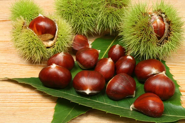 stock image Chestnuts.