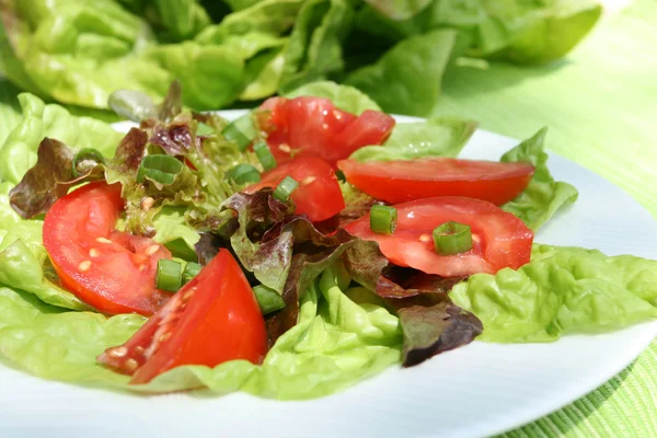 Salad. — Stock Photo, Image