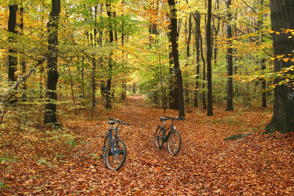bicycle trip