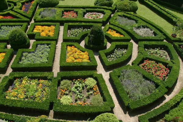 Jardim ornamental — Fotografia de Stock