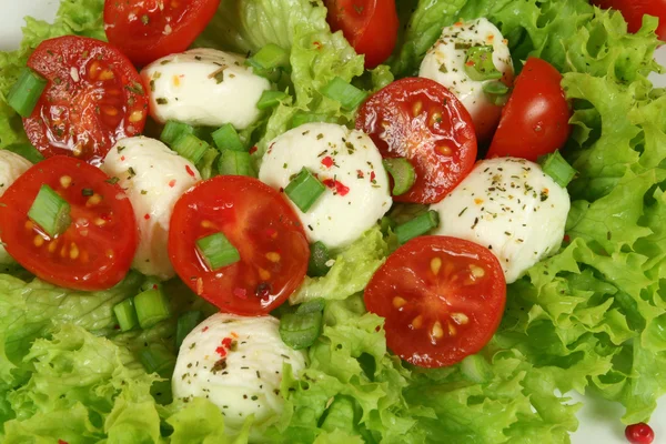 Salade caprese. — Stockfoto