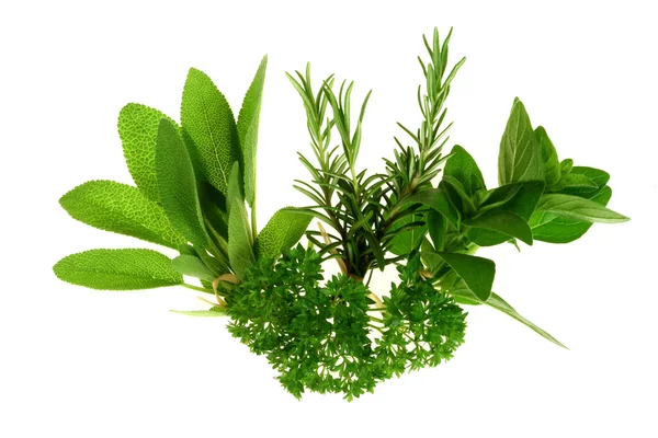 Green Herbs — Stock Photo, Image