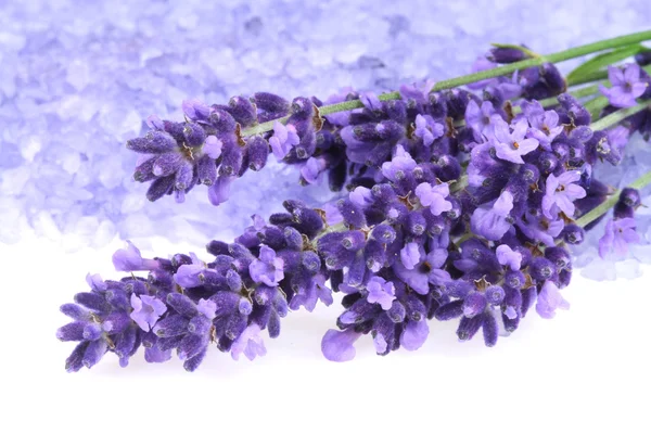 Lavendel och salt — Stockfoto