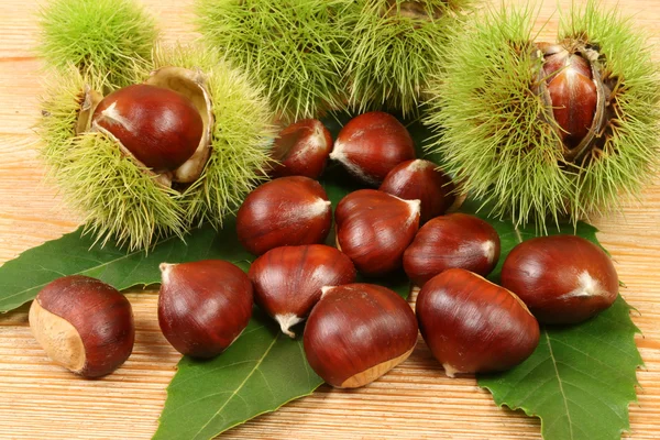 Stock image Chestnuts.