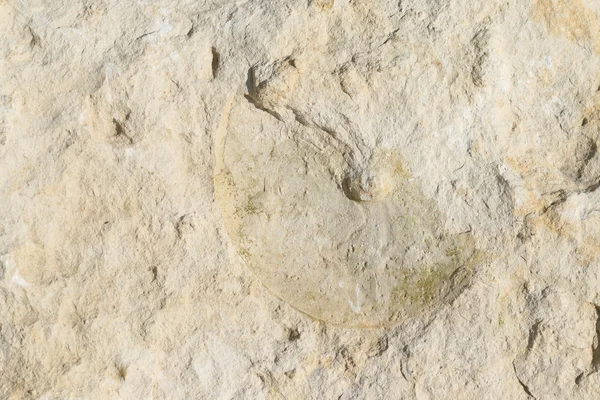 Ασβεστολιθικό βράχο — Φωτογραφία Αρχείου