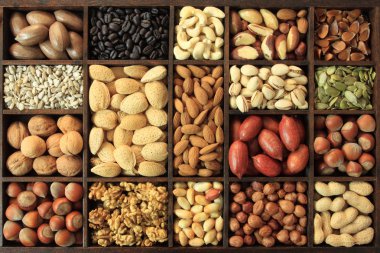 Nut varieties clipart