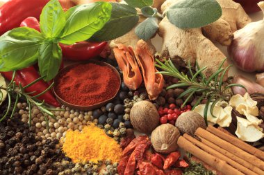 Spices and herbs clipart