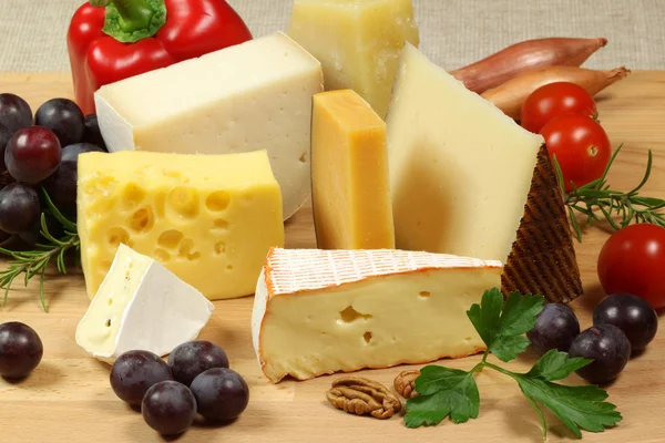 Variedade de queijo — Fotografia de Stock