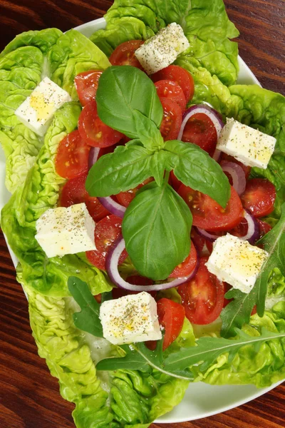 Verse salade — Stockfoto