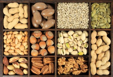 Nut variety clipart