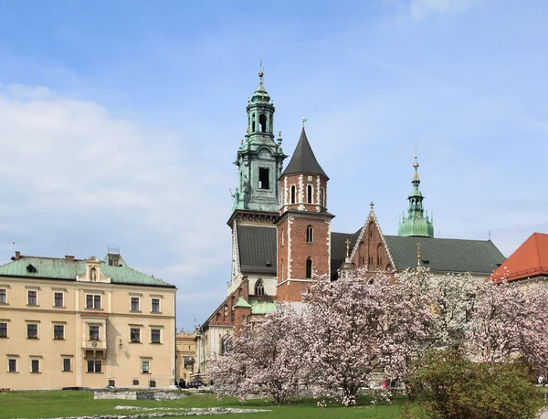 Wawel in Kraków — Stockfoto