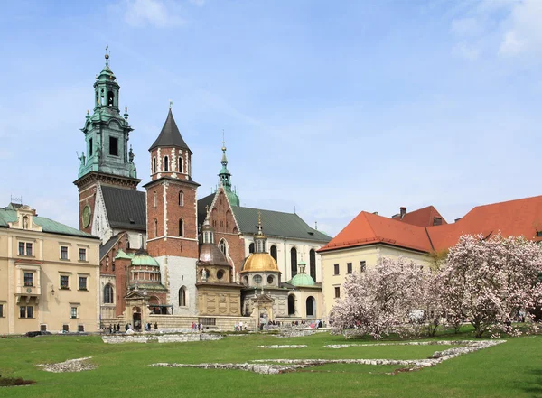 stock image Wawel