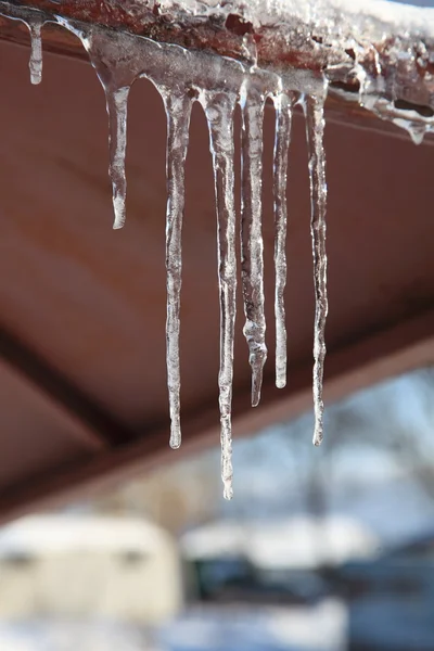 Spring. Thaw. Icicles — Stock Photo, Image