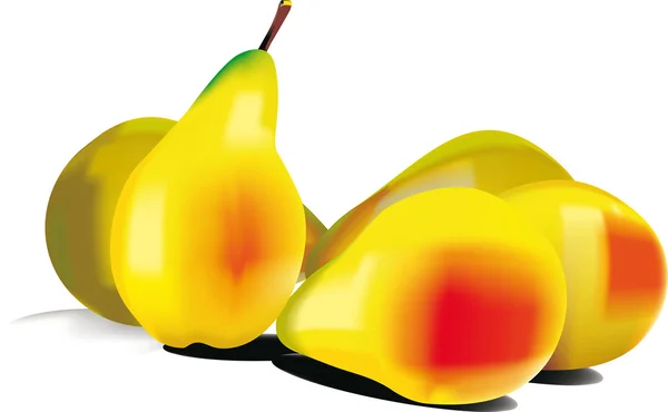 Délicieuses poires mûres — Image vectorielle