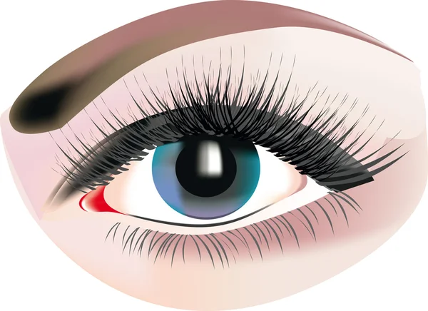 Grijze oog make-up — Stockvector