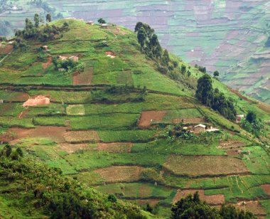 Virunga Mountains in Africa clipart