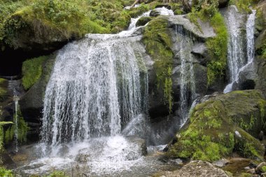 Idyllic Triberg Waterfalls clipart
