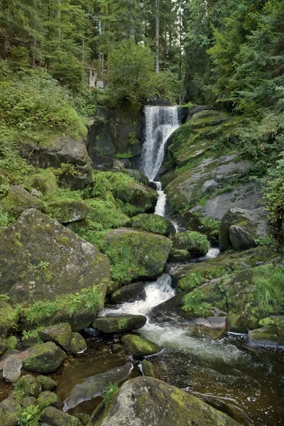 Idyllische Triberger Wasserfälle — Stockfoto