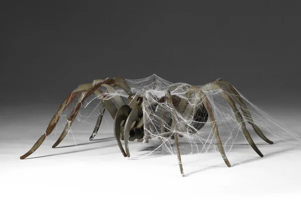 Metalowe pająk — Zdjęcie stockowe