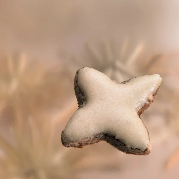 Cinamon star in light blurry back — Stock Photo, Image