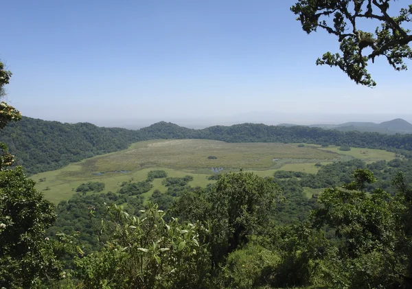 Vista panorâmica sobre o Parque Nacional de Arusha — Fotografia de Stock