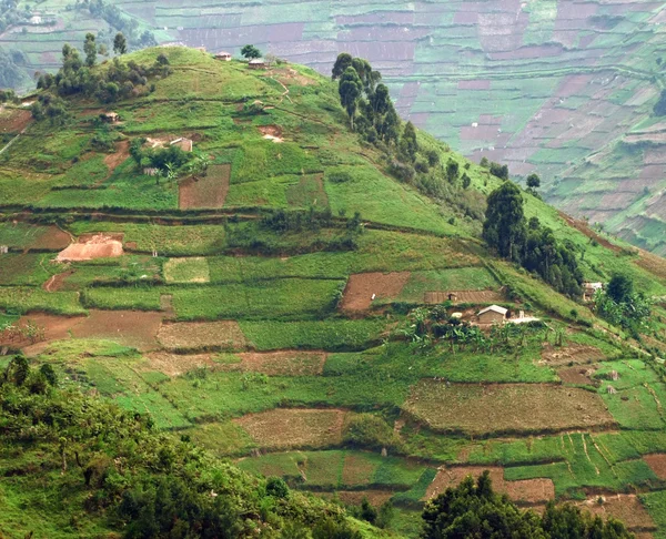 stock image Virunga Mountains in Africa