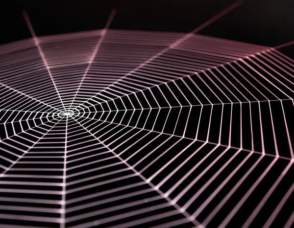 Boyalı örümcek ağı — Stok fotoğraf