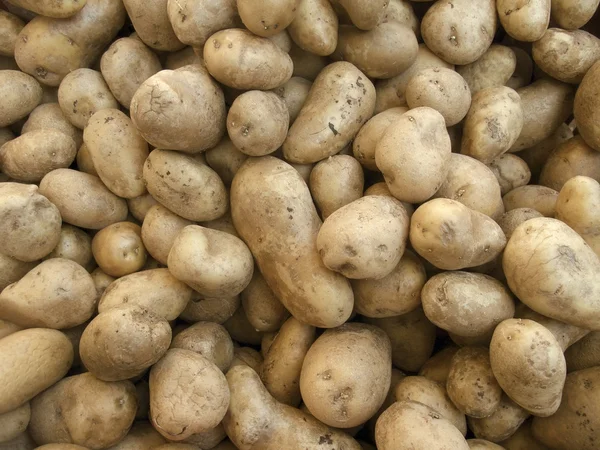 전체 프레임 potatoe 배경 — 스톡 사진
