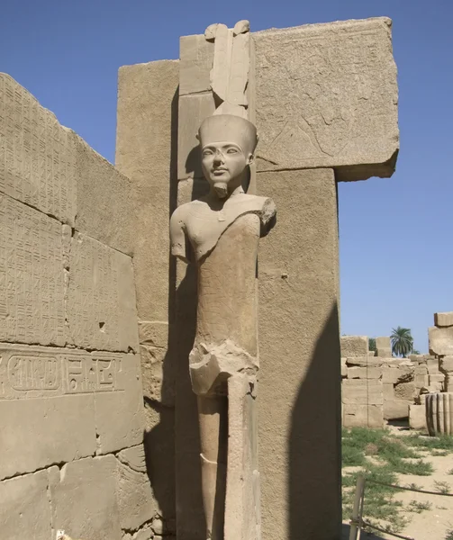 Statue around Precinct of Amun-Re — Stock Photo, Image
