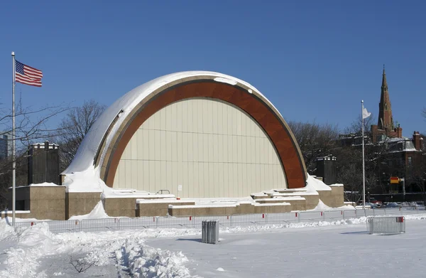 Cáscara acústica en invierno — Foto de Stock