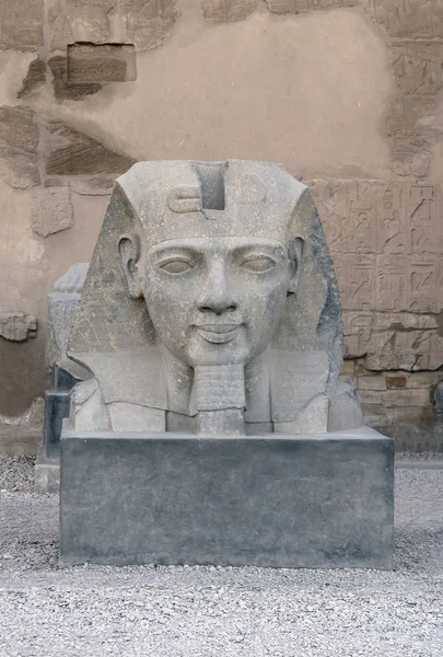 Scultura faraonica al Tempio di Luxor in Egitto — Foto Stock
