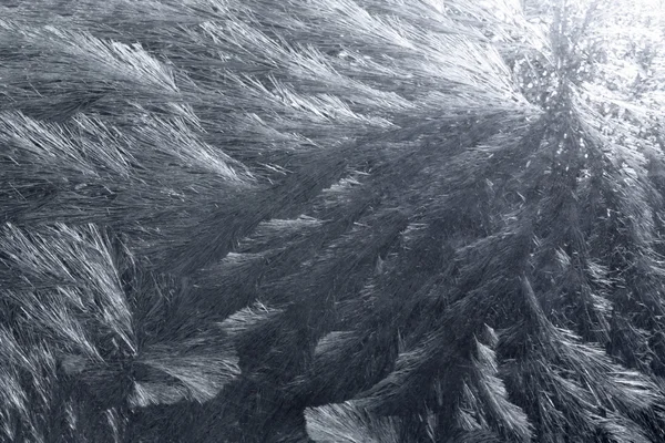 Soyut buz arkaplanı — Stok fotoğraf