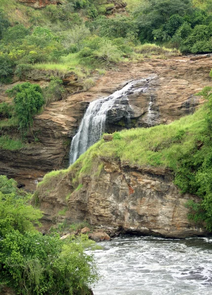 Murchison Falls — Stock Photo, Image