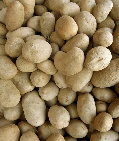 전체 프레임 potatoe 배경 — 스톡 사진