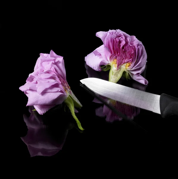 Halved rose and knife — Stock Photo, Image