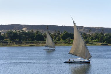 Sailing boats on River Nile clipart