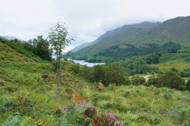 Colorful Scottish Highlands clipart