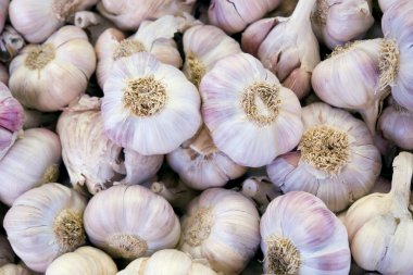 Full frame garlic background clipart