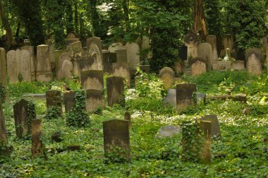 Idyllic old graveyard in Berlin clipart