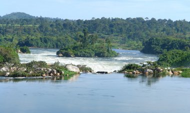 River Nile scenery near Jinja in Africa clipart